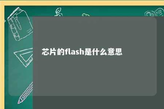 芯片的flash是什么意思 